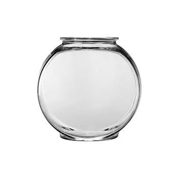 Fish Bowl